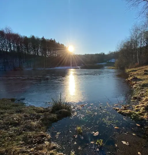 WAGNETRŮV RYBNÍK