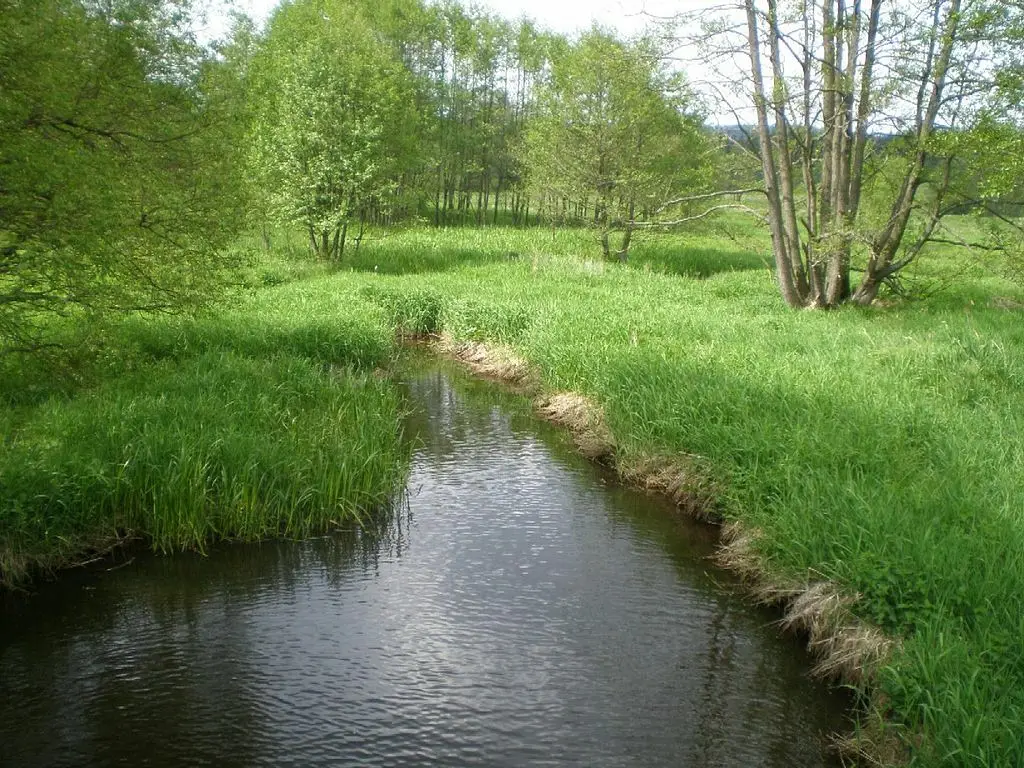 PADRŤSKÝ POTOK 2