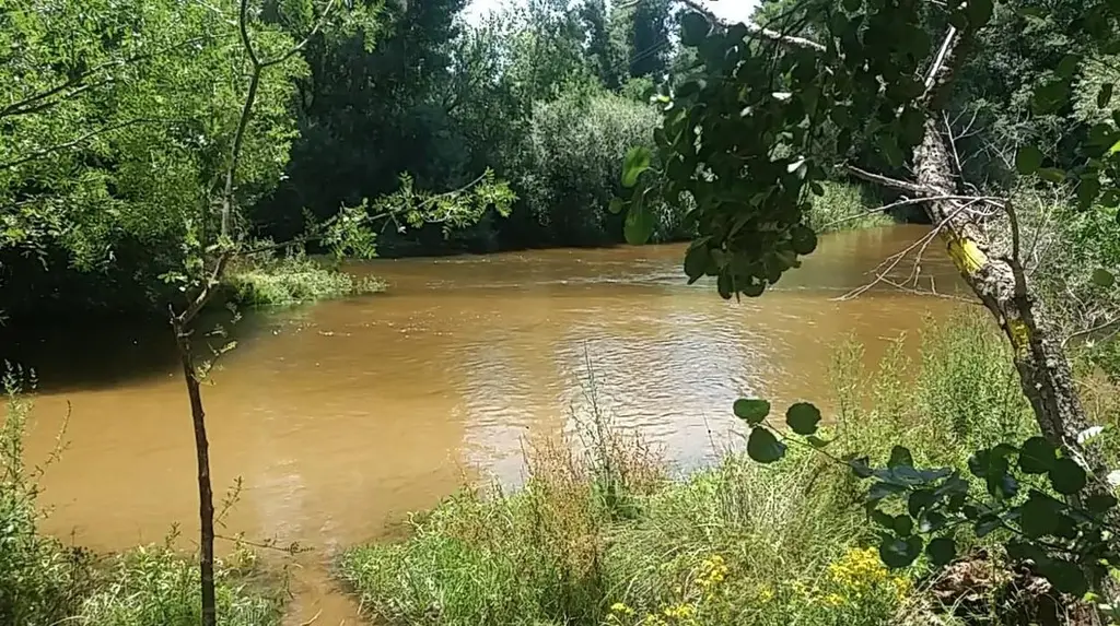 Río Alberche (Madrid)