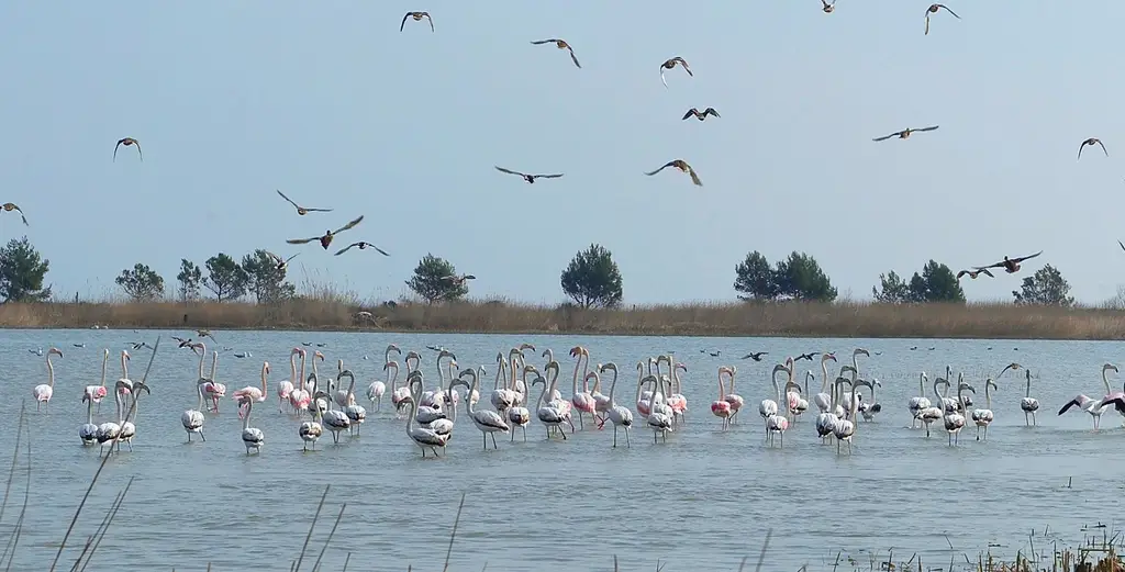 Laguna de Les Olles