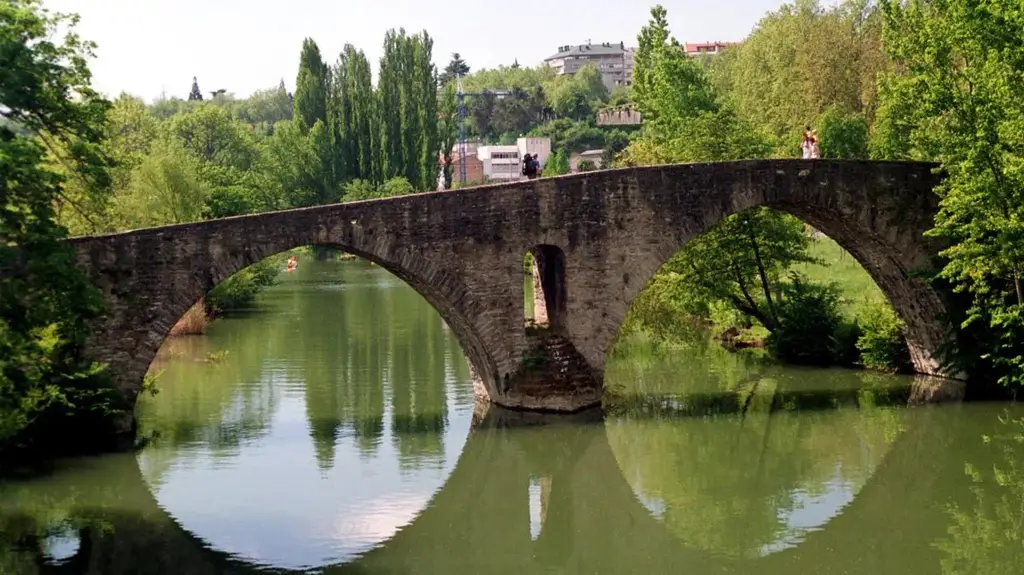 Rio Arga (Pamplona)