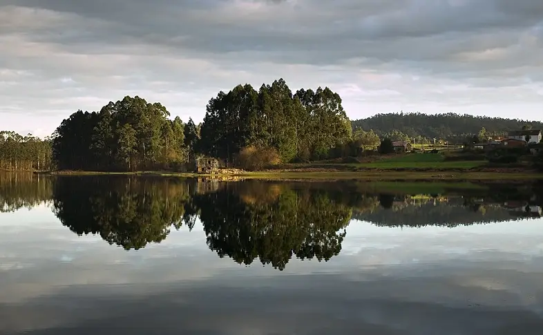 Embalse de Forcadas