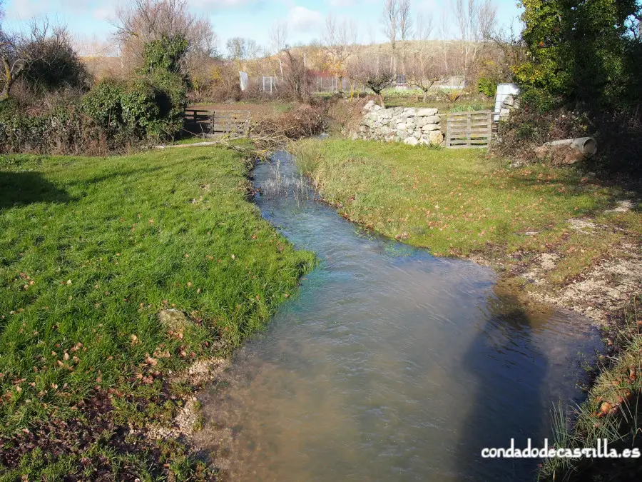 Río Viejo - Pesca del Cangrejo