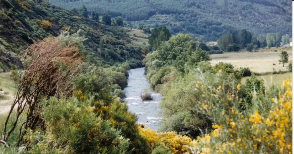 Río Porma (Tramo Libre)