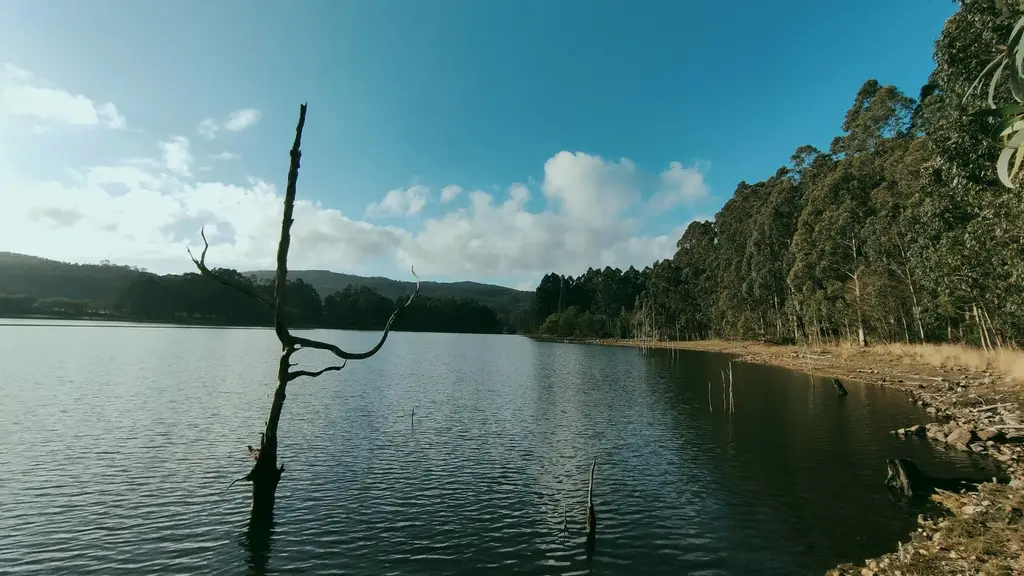 Embalse de Rio Covo