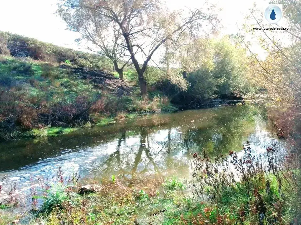 Río Espeja - Soria (Tramo libre)