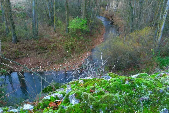 Río Linares - Soria (Tramo Libre)