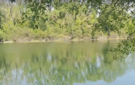 Plan d'eau de la Barthelasse - Parc des Libertés