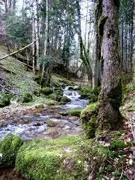 Ruisseau de l'Auriol