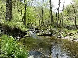 Ruisseau de Lahas