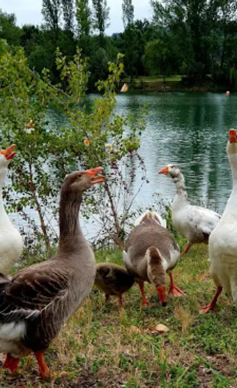 Lac de La Cadie