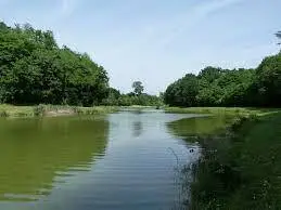 Etang du Mas