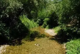 Le ruisseau de la Gravouse