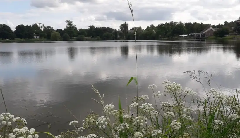 Etang de Hédé