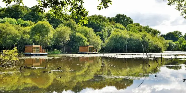 Etang de la Basse-Bouère