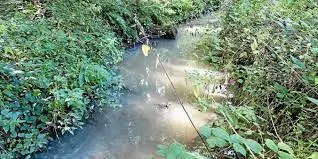 La Queue du Fossé