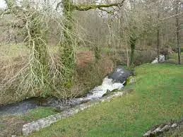 Ruisseau de l'Étang