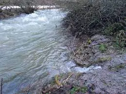 Ruisseau de la Fontaine du Mié