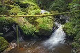 Le Bès d'Arengosse