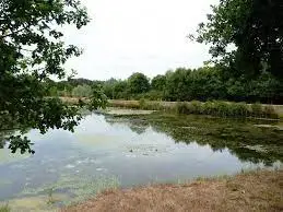 Etang Evangile