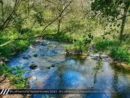 Ruisseau de Sésard