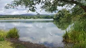 Etang de Perceval