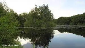 Etang de la Grande Rouillie