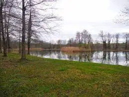 Petit Etang du Roi