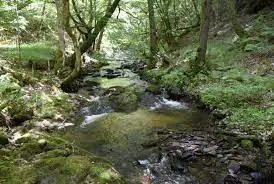 Canal de la Noue de Barbara