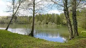 Etang du Poisel