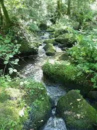 Ruisseau de l'Etang de Villeray