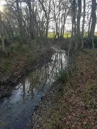 Ruisseau de la Torterie