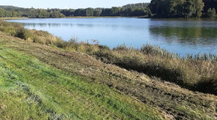 Etang de Langoëlan