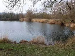 Etang Marcel Bon