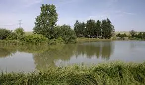 Etang de la Sapinière