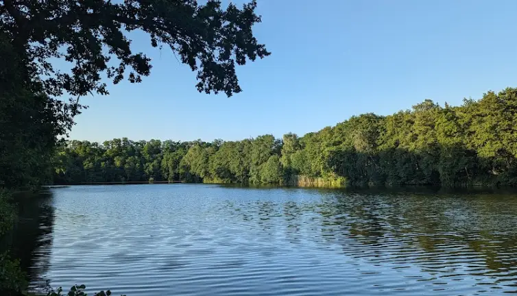 Etang de Bisten