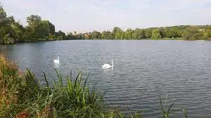 Plan d'eau - AAPPMA de Saint Omer en Chaussée