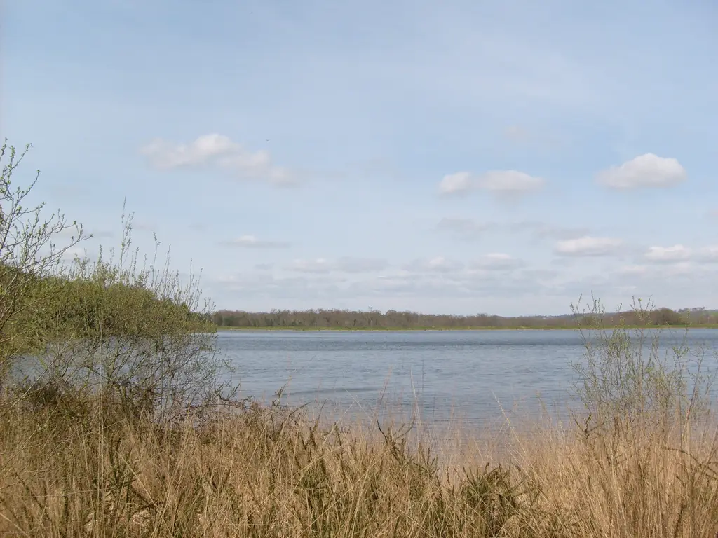 Lac d'Ayguelongue