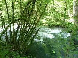 Ruisseau de la Combe de Chambost