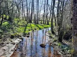 Ruisseau de Chanzé