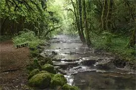 Ruisseau de la Fontaine Gouttant