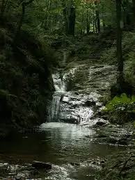 Ruisseau de la Porchère