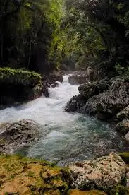 Ruisseau de Champey