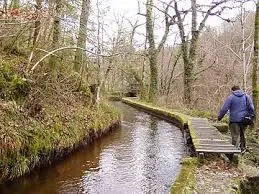 Canal du Moulin de Faverney