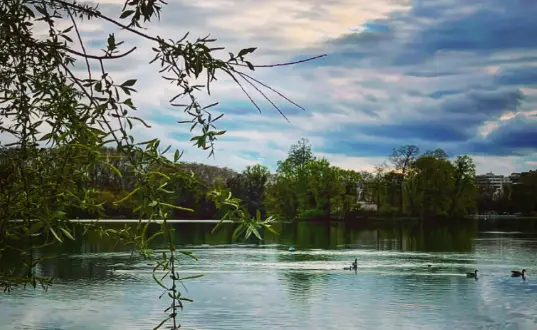 Plan d'eau du Parc de la Tête d'Or