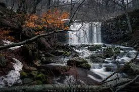 Le plan d'eau de Boistray