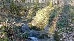 Ruisseau des Cordelières