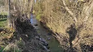 Ruisseau de Cotoyon