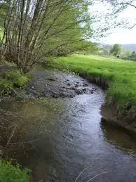 La Grosne Orientale