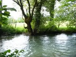 Ruisseau de la Carelle